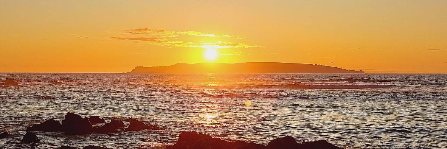 Sergio 🦀 banner