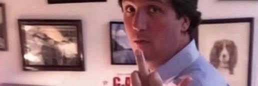 Ricky Stallion banner