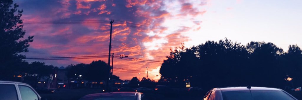 EmilyCollins01's profile banner image