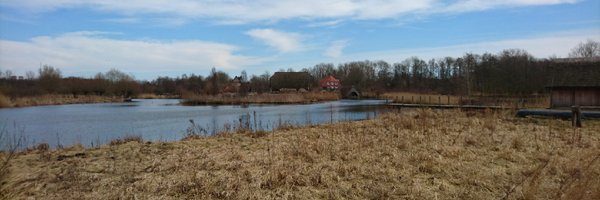 thiernab Profile Banner