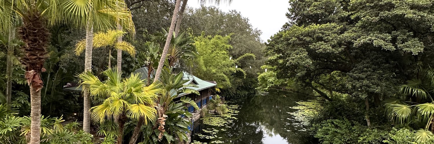 Rachelle Cabaniss banner