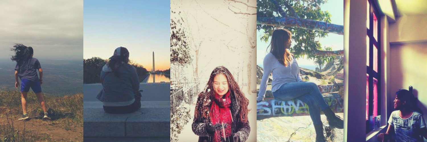 Almost Asian Almost American banner