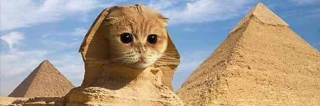 น้องวินเทอร์ ⛄️❄️🌱 banner