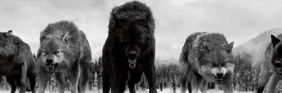 SKHS Football banner