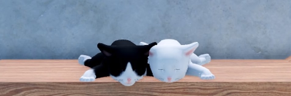 wifesable's profile banner image
