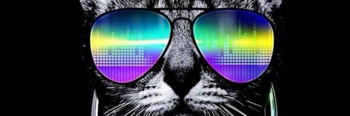 sanfcosex40's profile banner image