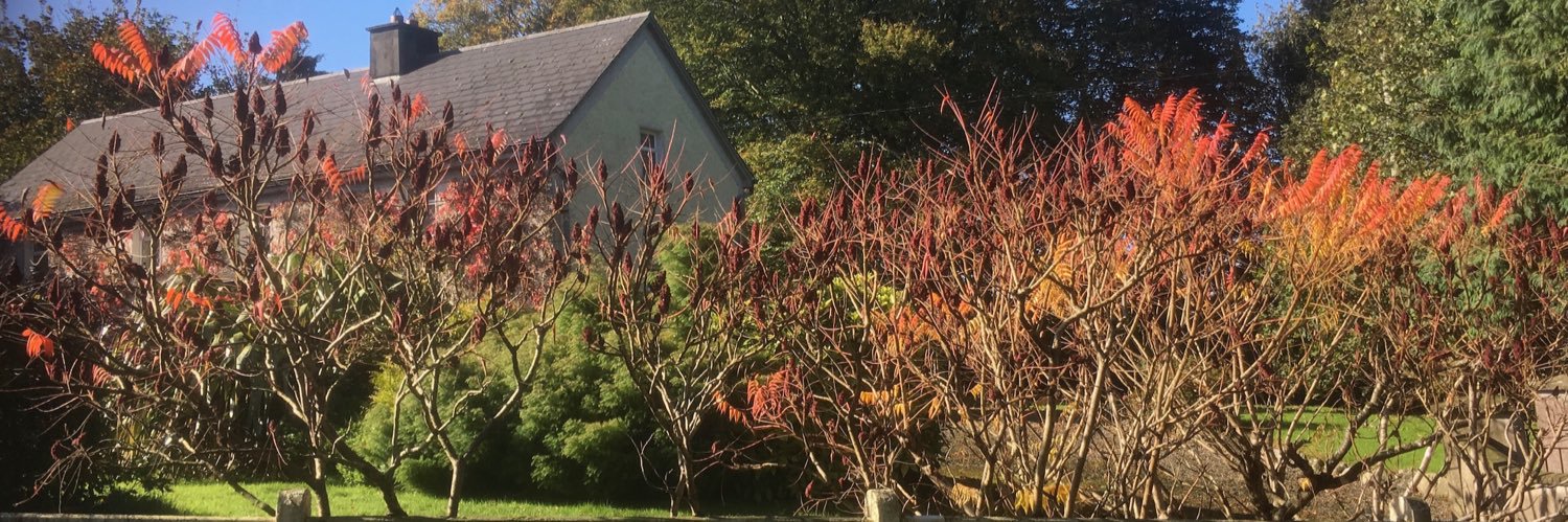 seansexton58's profile banner image