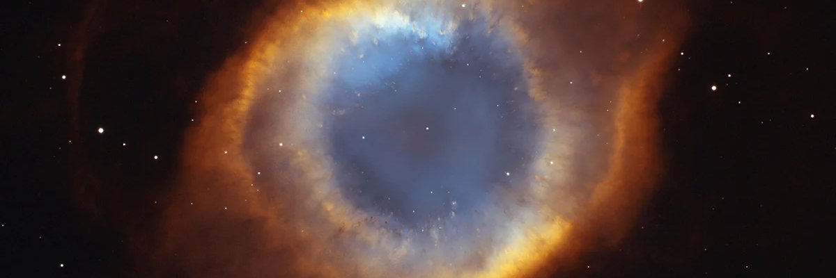 Gol D. Garbobag banner