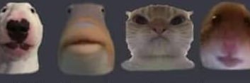 peep banner