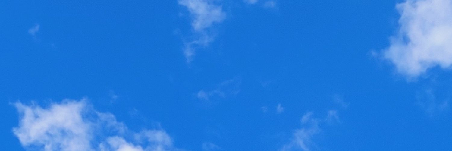arilujannn's profile banner image