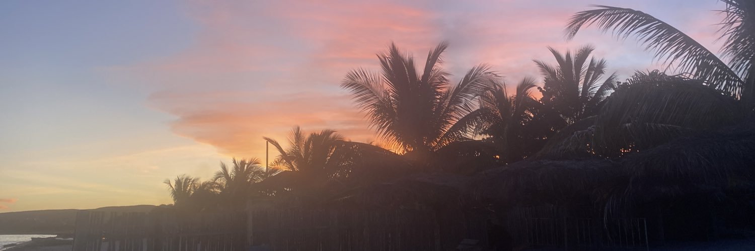 Bellebee 🐝 banner