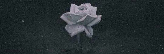 tofeAlhamad's profile banner image