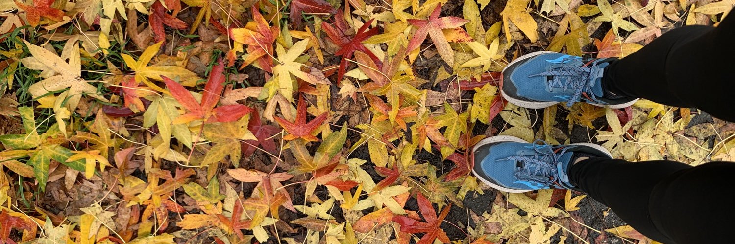 if banner