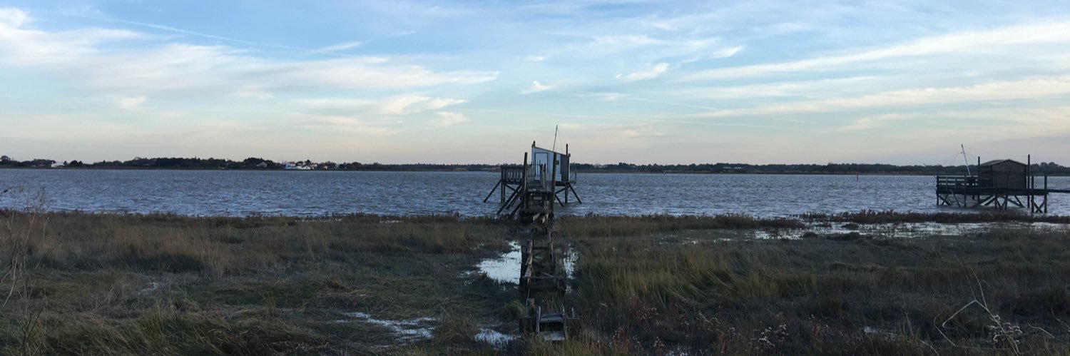 Sandrine Hannecart banner