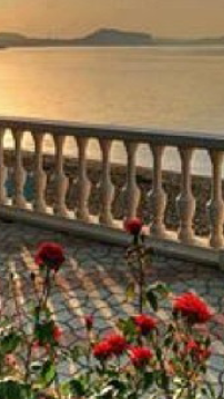 noha5050's profile banner image