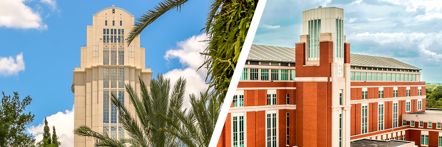 Ninth Circuit Court of FL banner