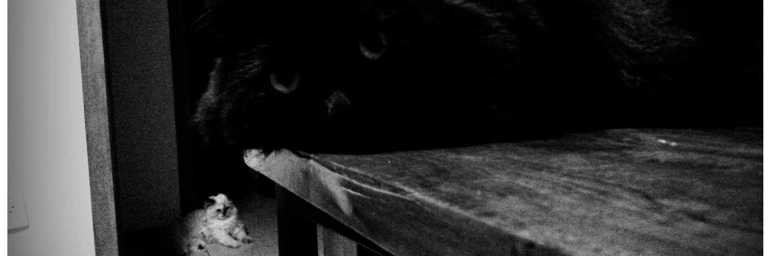mateumatos's profile banner image