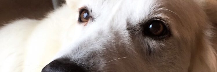 IrantzuYerri's profile banner image