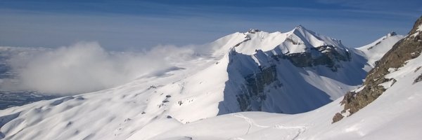 joel_plasseraud Profile Banner