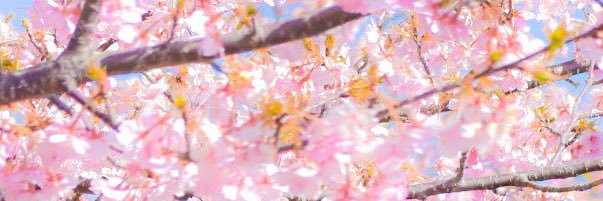 NAIN_AI's profile banner image