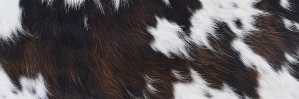 MsJennaBalls Profile Banner