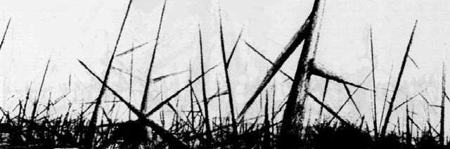 Lonnen's profile banner image