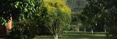 mansusmansus's profile banner image