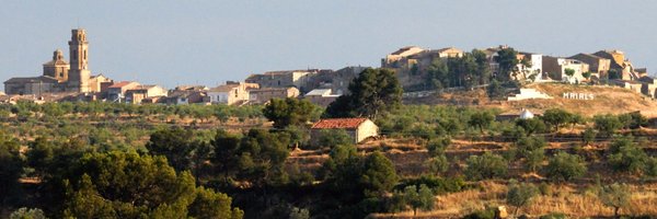 ajmaials Profile Banner