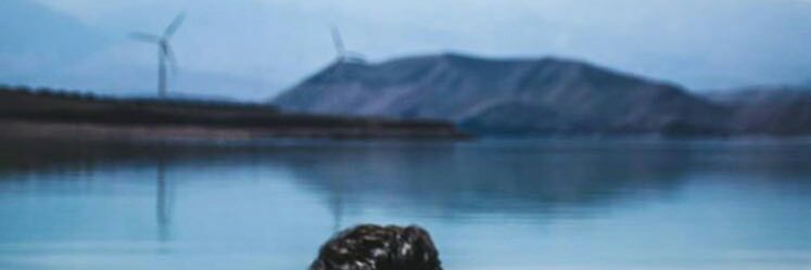 75Ho3ein's profile banner image