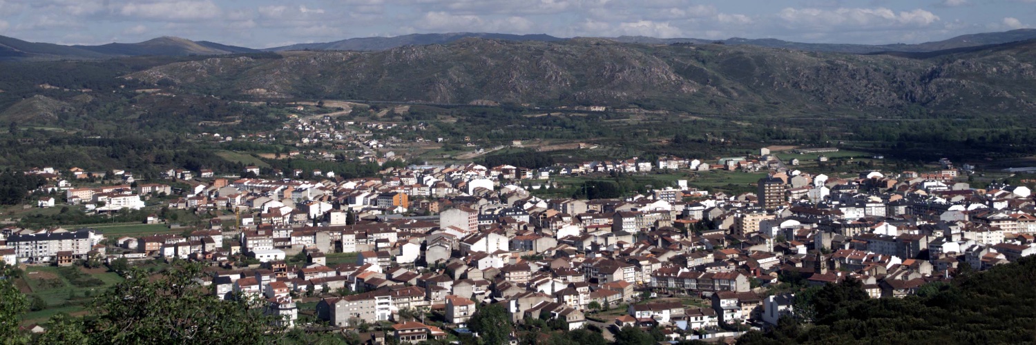 Concello de Verín banner