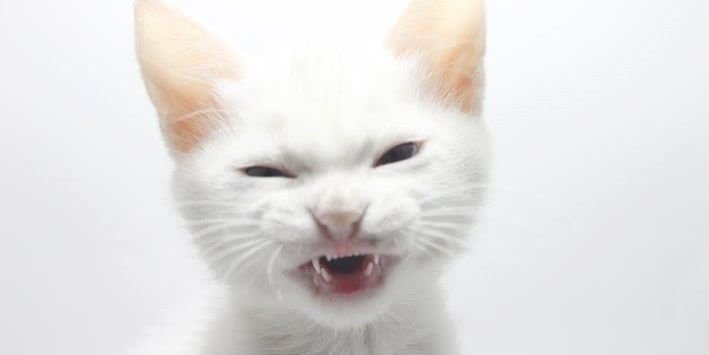 scupidtyz's profile banner image