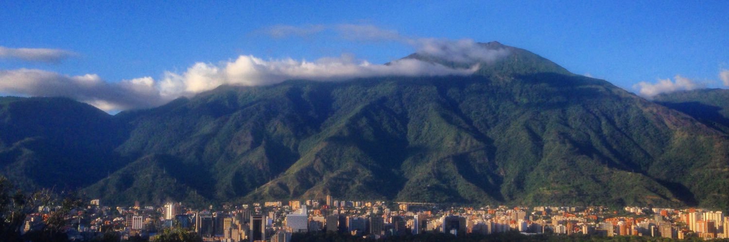 oridortolina's profile banner image