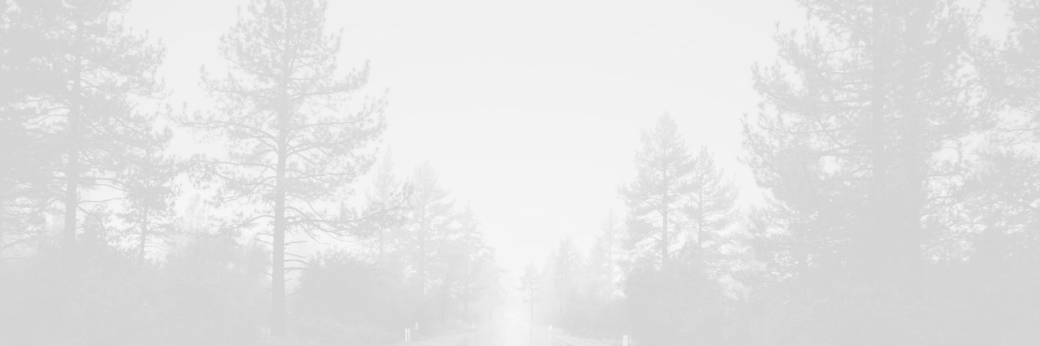 Diesel Experts banner