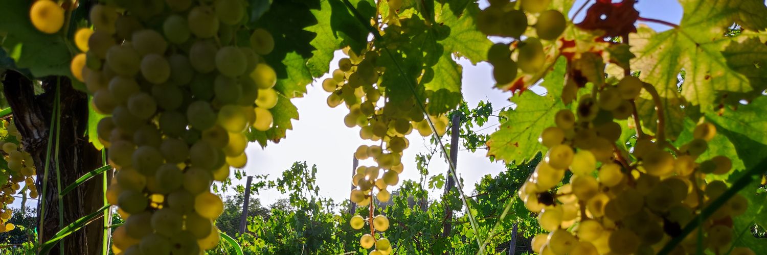 Vall de Betlem banner
