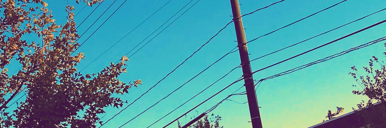 や's banner