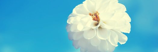 rigirl88's profile banner image