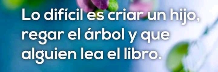 RuidoBlancoMk's profile banner image