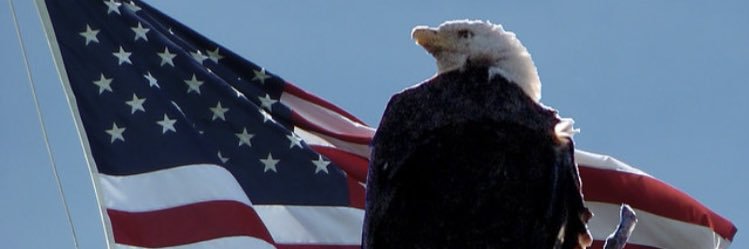 BlazeIrish's profile banner image