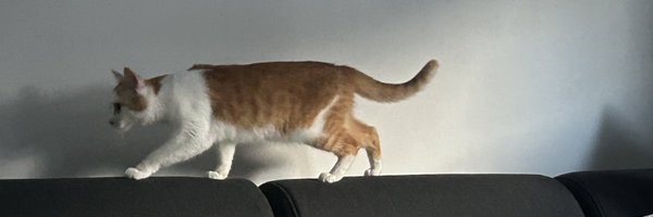 tomtom_1717 Profile Banner
