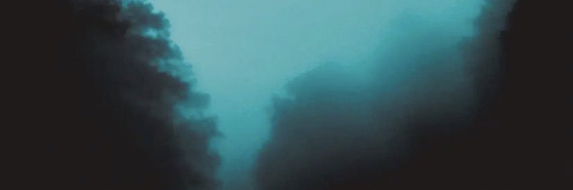 ◥ 𝗡𝗔𝗦𝗦𝗘𝗥 banner