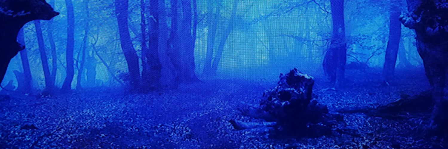 Jason Ellison banner