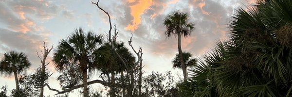 stcampbell01 Profile Banner