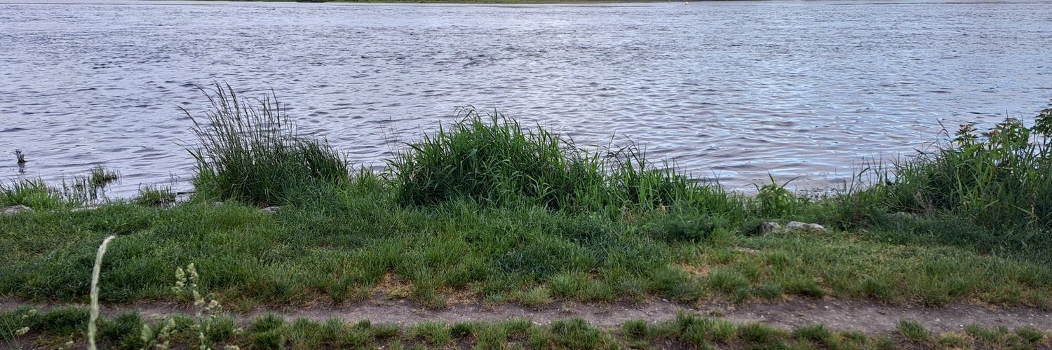 ні, я нє banner