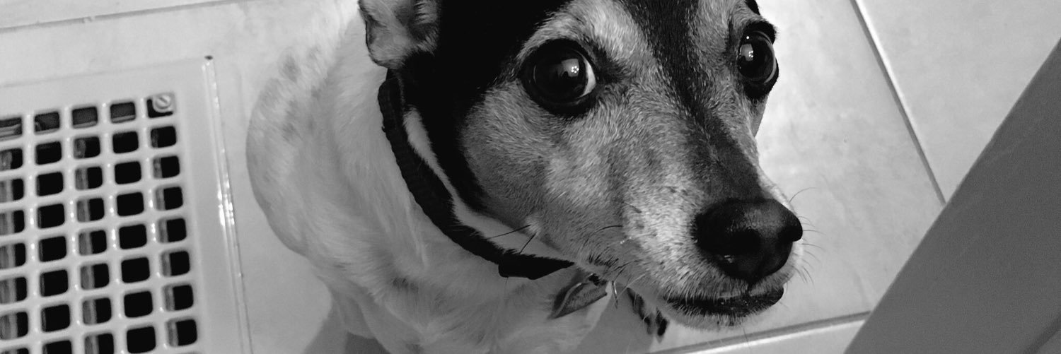 madison_ogle's profile banner image