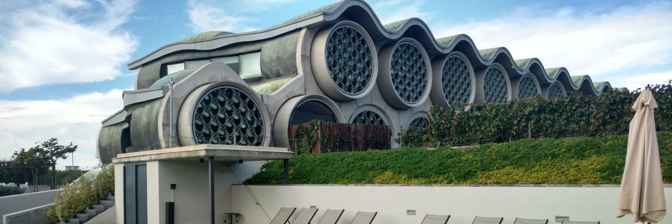 Robin Friedman, MD banner