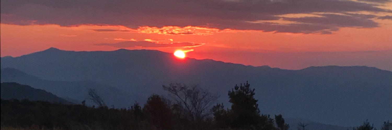 DanielleMoze's profile banner image