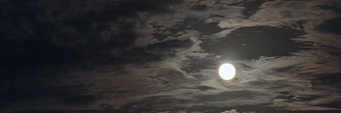 r22095's profile banner image