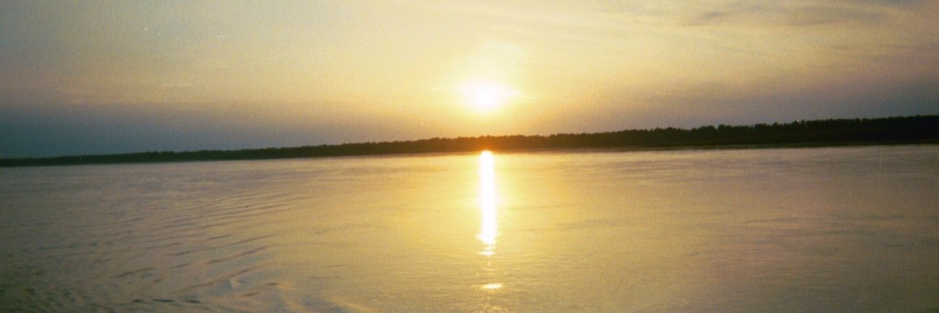 cindytwilson's profile banner image