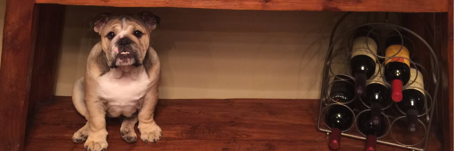 Elizabeth Davis banner