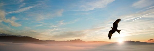TaurusTheBull77's profile banner image